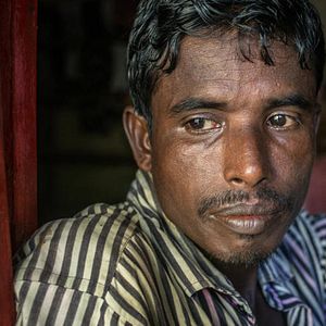 Bilder Bamboo Stories