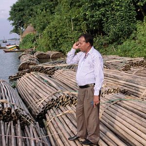 Bilder Bamboo Stories