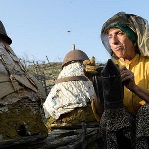 Bilder Land des Honigs