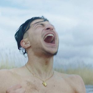 Bilder Sons of Denmark - Bruderschaft des Terrors