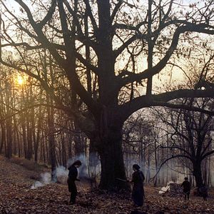 Bilder Zgodbe iz kostanjevih gozdov