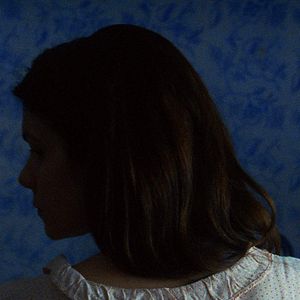 Bilder Zgodbe iz kostanjevih gozdov