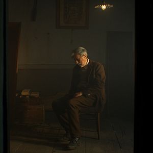 Bilder Zgodbe iz kostanjevih gozdov