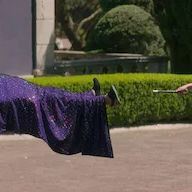 Bilder Blumige Aussichten