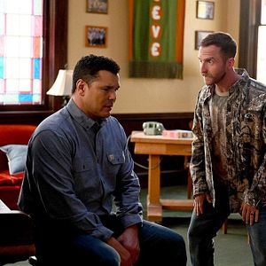 Bilder Will Greenberg