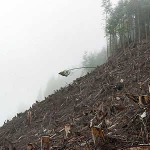 Bilder Die Epoche des Menschen