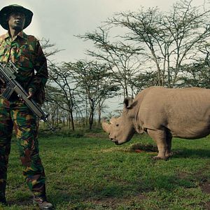 Bilder Die Epoche des Menschen