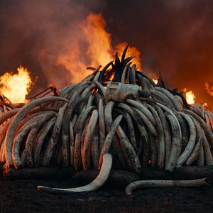 Bilder Die Epoche des Menschen