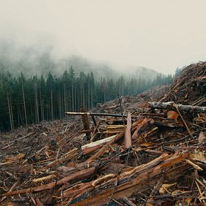 Bilder Die Epoche des Menschen