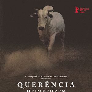 Bilder Querência - Heimkehren