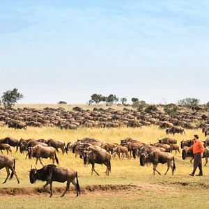 Bilder Nurullah Çelebi