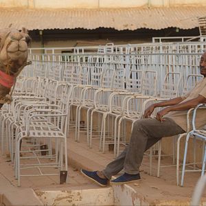 Bilder Talking About Trees