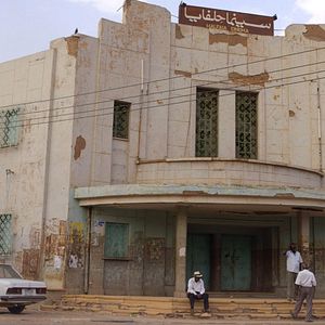 Bilder Talking About Trees