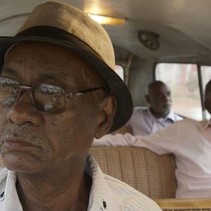 Bilder Talking About Trees