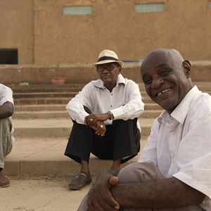 Bilder Talking About Trees