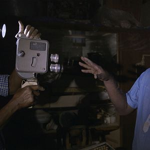 Bilder Talking About Trees