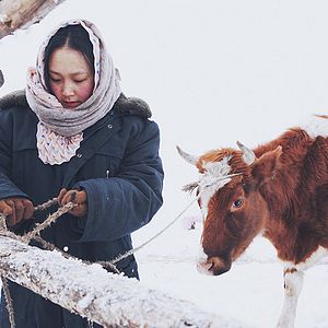 Bilder Chaogtu with Sarula