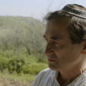 Bilder Swimmingpool am Golan