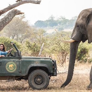 Bilder Kristin Davis