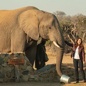 Bilder Kristin Davis