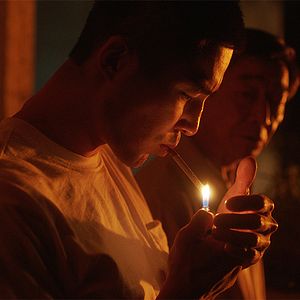 Bilder Summer Knight