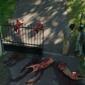 Bilder Get In - Or Die Trying