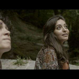 Bilder Sonbahara Doğru