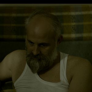 Bilder Sonbahara Doğru