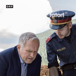 Bilder Tatort: Baum fällt