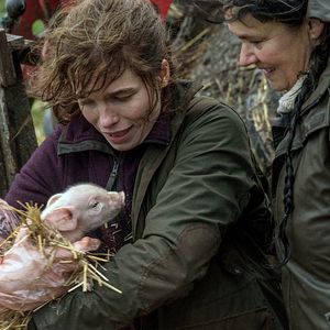 Bilder Die Erbschaft