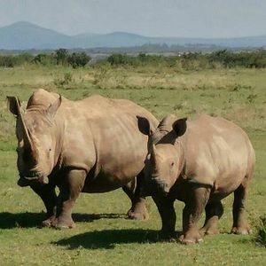 Bilder Der weiße Massai Krieger