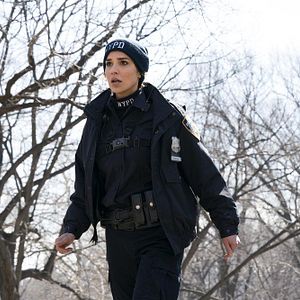 Bilder Arielle Kebbel