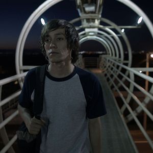 Bilder Los Hámsters