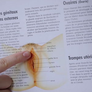 Bilder Mein Name ist Klitoris