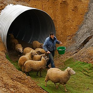 Bilder Le Cauchemar De Philippe Layat