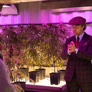 Bilder Matthew McConaughey