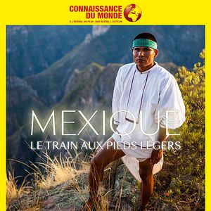 Bilder MEXIQUE, Le train aux pieds légers