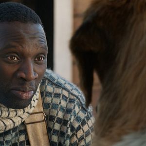 Bilder Ruf der Wildnis