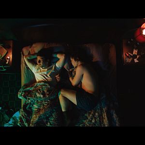 Bilder American Animals