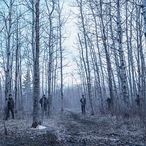 Bilder Siberia - Tödliche Nähe