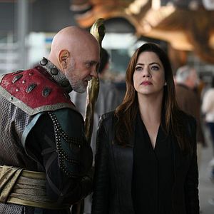 Bilder Mitch Pileggi