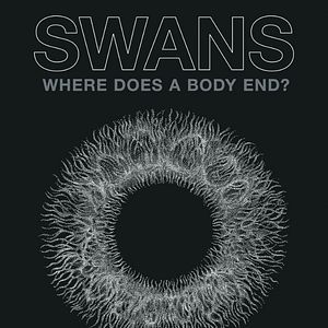Bilder Swans - Where Does A Body End?