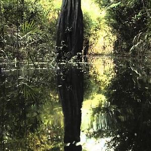 Bilder Amazônia Sociedade Anônima