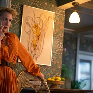 Bilder Gillian Anderson