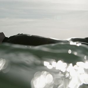 Bilder Louis dans la vie