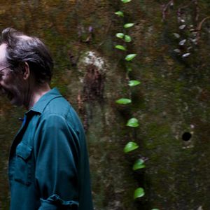 Bilder Arto Lindsay 4D