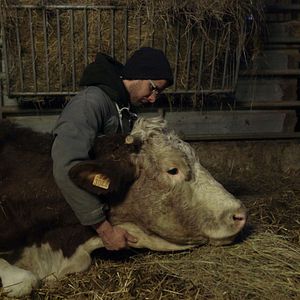 Bilder Cyrille, agriculteur, 30 ans, 20 vaches, du lait, du beurre, des dettes