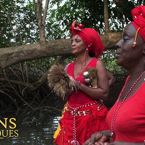 Bilder Visions Chamaniques : territoires oubliés