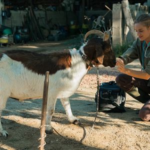 Bilder Plötzlich aufs Land - Eine Tierärztin im Burgund