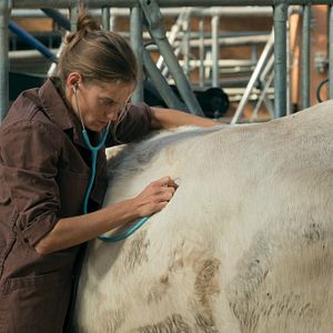 Bilder Plötzlich aufs Land - Eine Tierärztin im Burgund